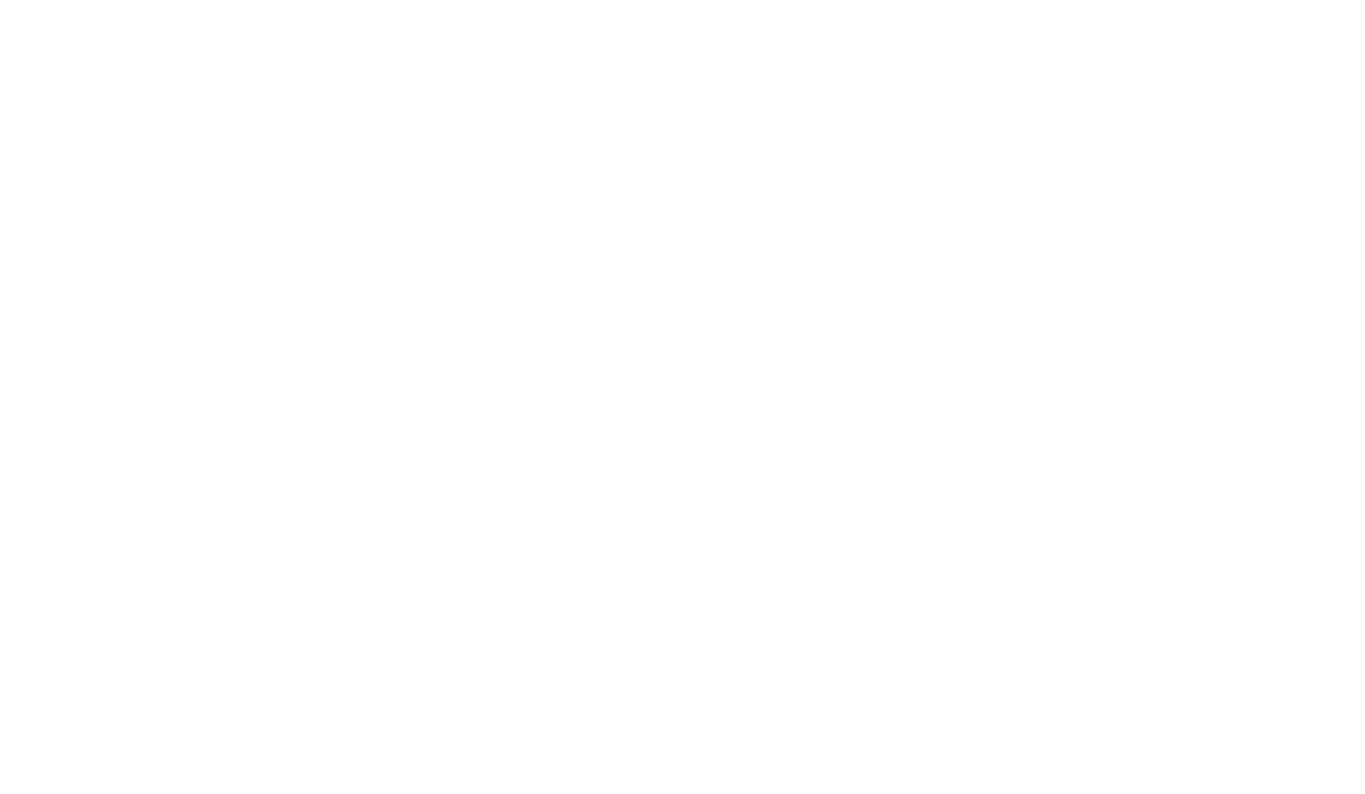 light logo